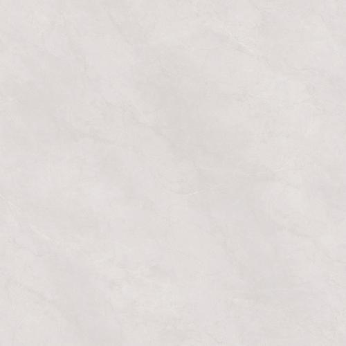 XYJ81902A