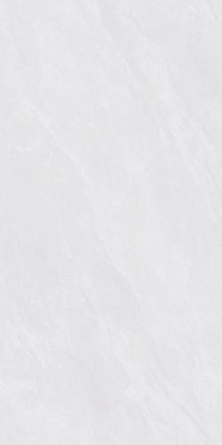 XYJ157303A