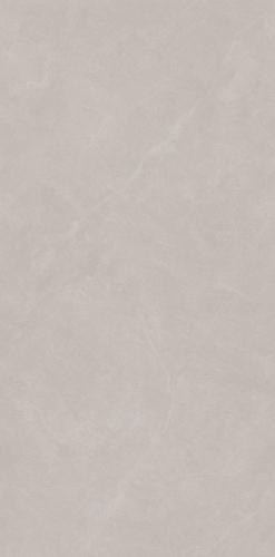 XYJ157309A
