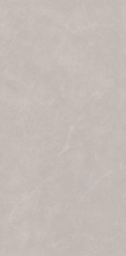 XYJ157309A