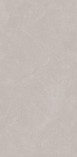 XYJ157309A