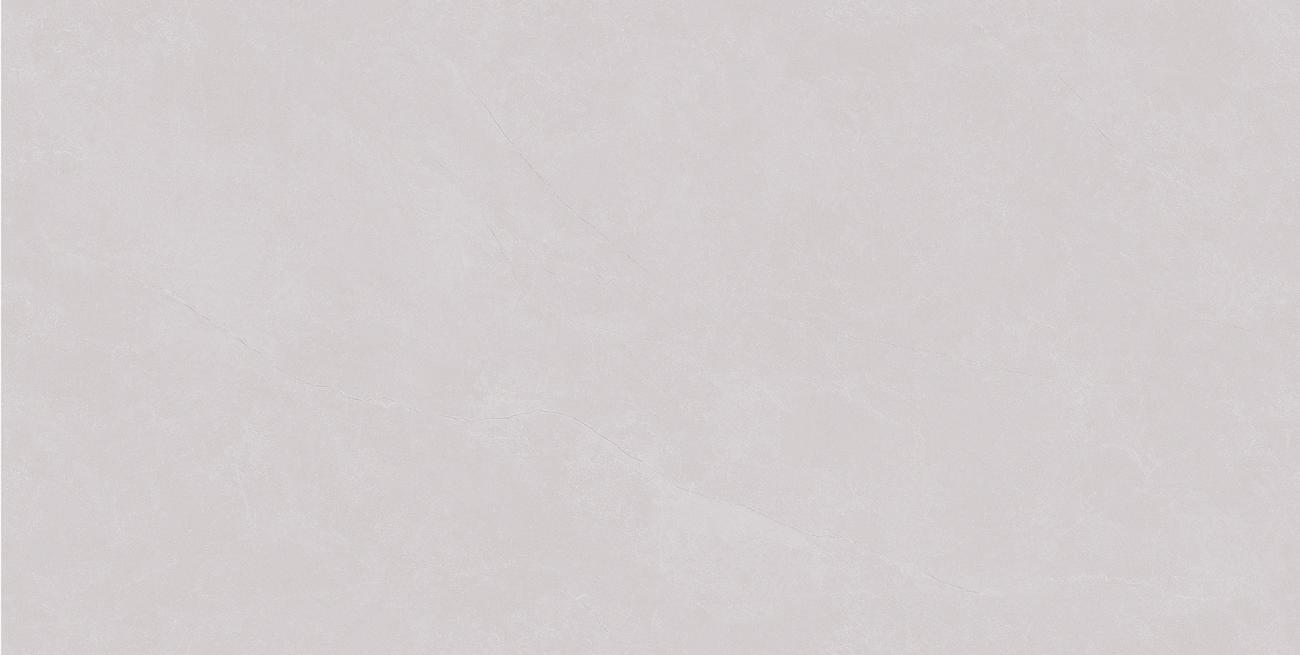 XYS487907A