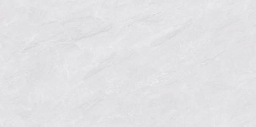 XYS487903A